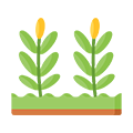 Agriculture